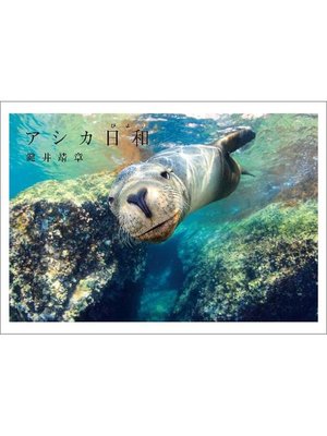 cover image of アシカ日和